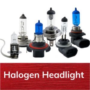 Halogen Headlight